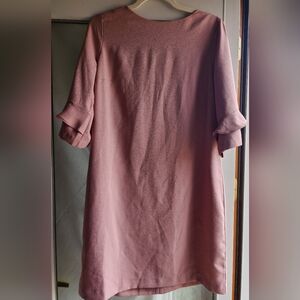 Banana Republic Blush Pink Tunic Dress